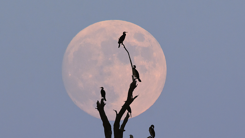 Прежде всего, положение Чандры в Лагне указывает на личность эмоциональную, восприимчивую, интуитивную и переменчивую