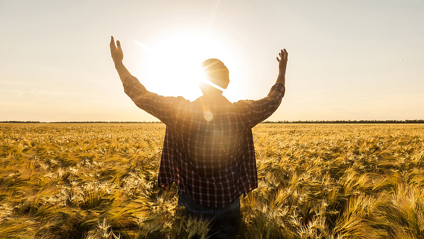 солнце и поле фото