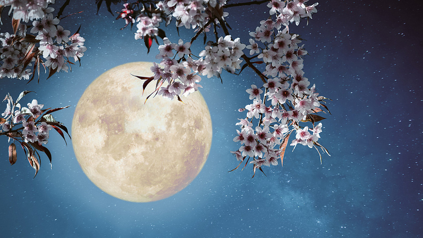 Луна (Чандра, Ch) в астрологии фото