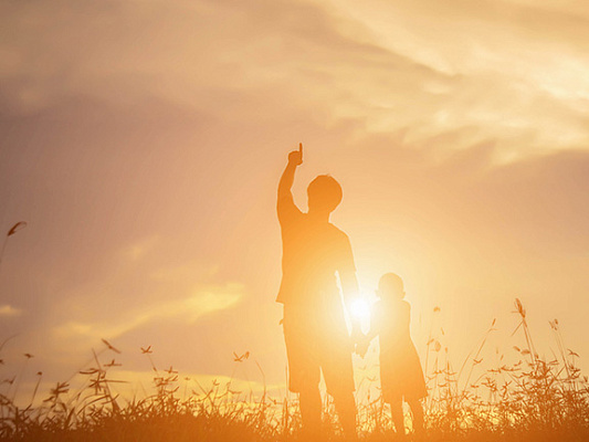 Солнце (Сурья) в 11-м доме: карьера, друзья, богатство