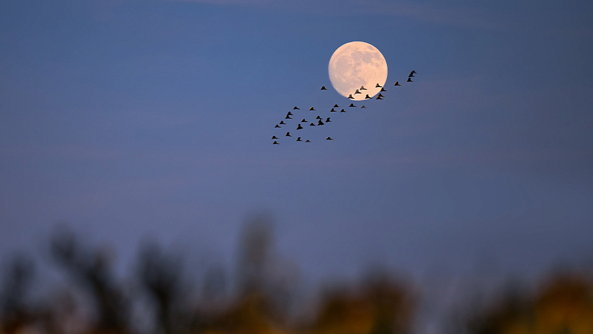 луна в небе фото