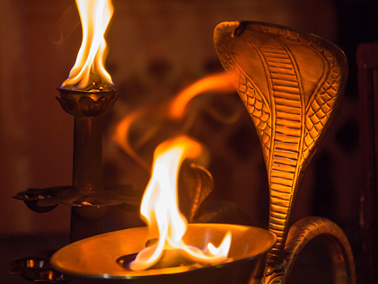 Накшатра Ашлеша(9): ваш путь к трансформации и мудрости