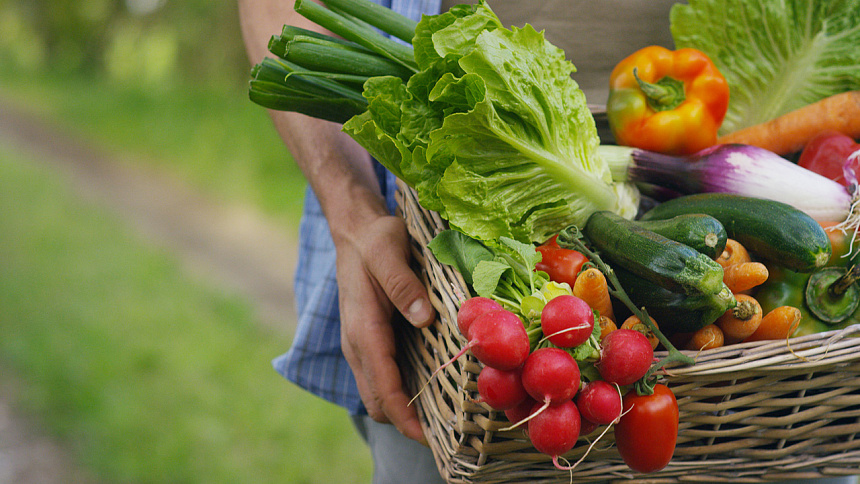 овощи в ящике фото