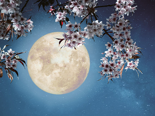 Чандра-йоги: как положение Луны формирует вашу жизнь