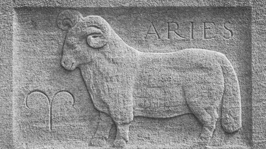 Овен, баран фото