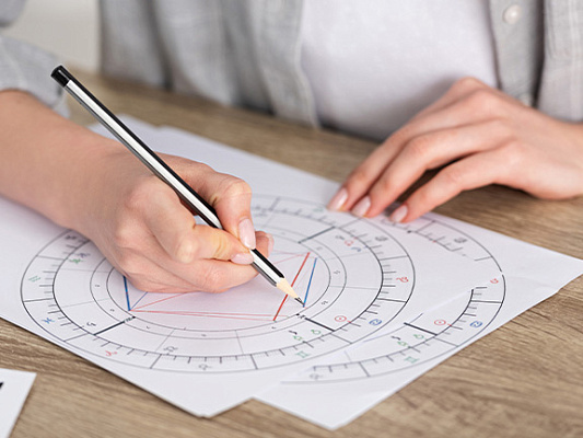 Астрологические дома (бхавы)