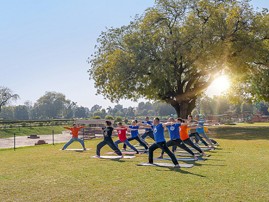 Солнце (Сурья) в 3-м доме: особенности, проявления, знаки зодиака
