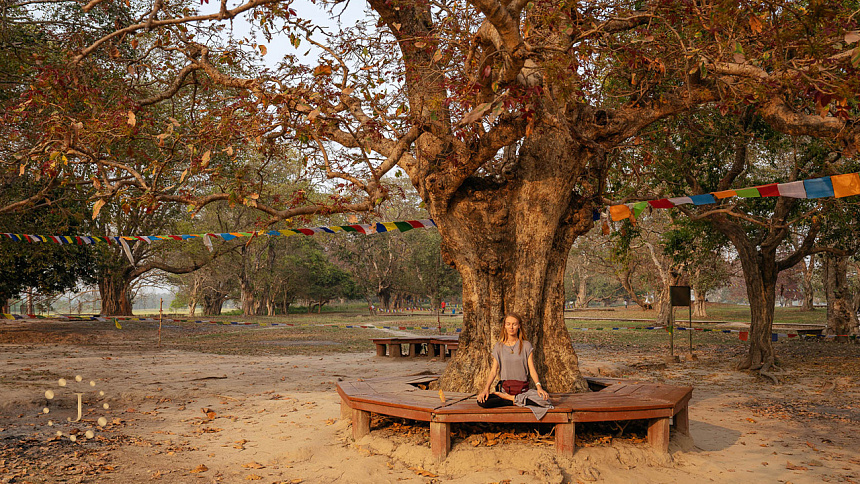 медитация под деревом фото