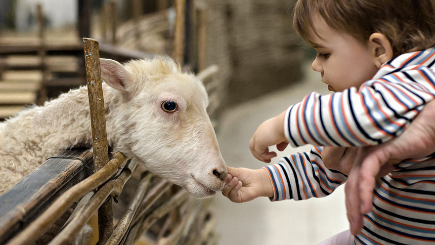 ребенок и козкл фото